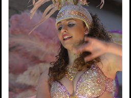 Carnaval de Mula 2014